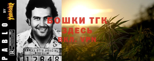 прущий лед Алзамай