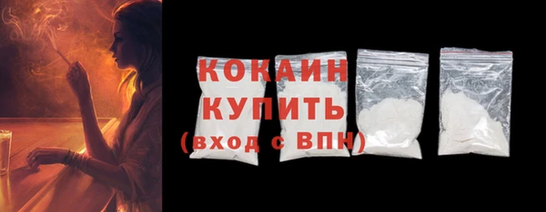 прущий лед Алзамай