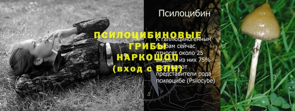 прущий лед Алзамай