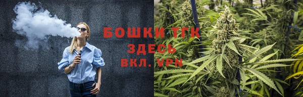 2c-b Ельня